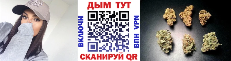 Конопля Полярные Зори