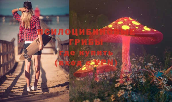 трава Новодвинск