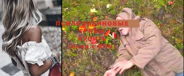 синтетический гашиш Болотное