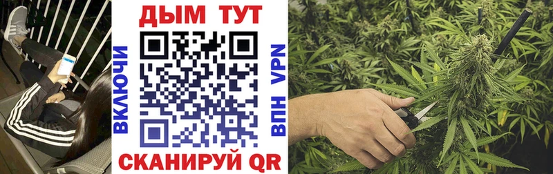 Конопля тримм  цены   Полярные Зори 